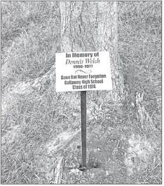 New Signage Memorializes Tree
