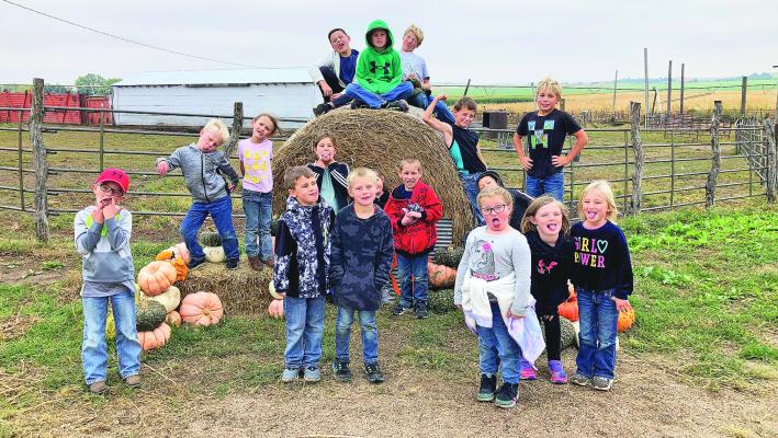 A group of young students making silly faces at the camera on their field trip