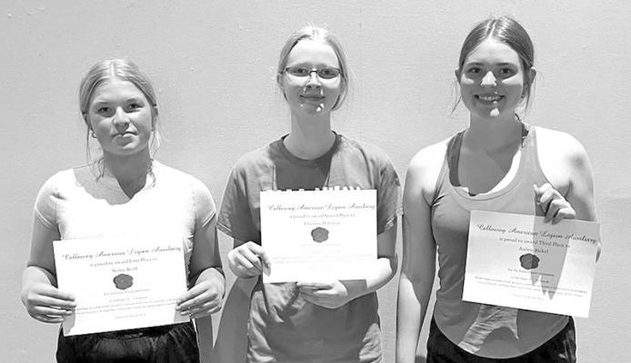 10th grade poppy poster: From left, 1st place; Neltje Reiff, 2nd place; Chenney Dishman, and 3rd place; Aubrie Birkel.