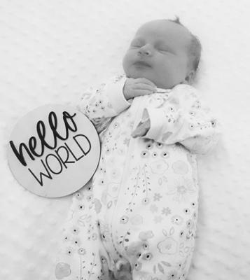 Willow Anne Wolf