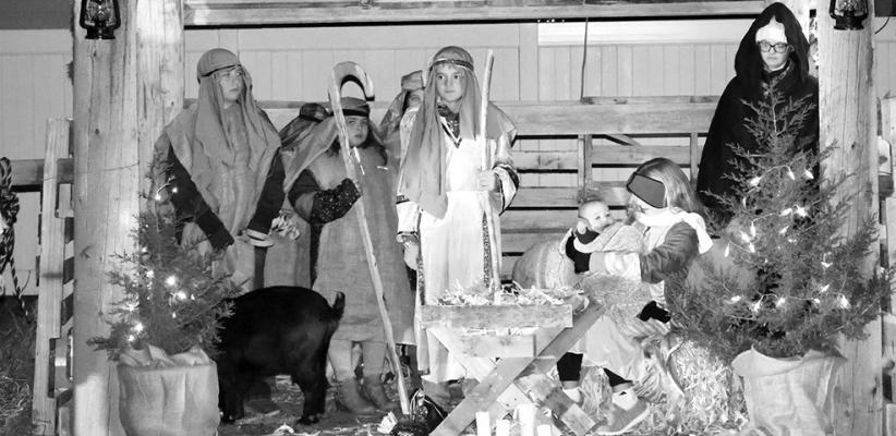 Nativity Comes to Life