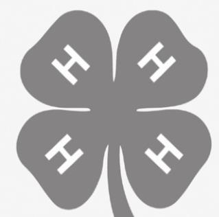 Custer County 4-H Speaking Contest Results
