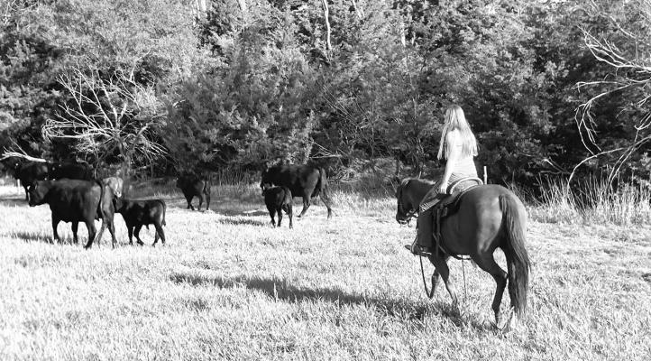 Tesa Pandorf's love for ranching and cattle were the driving force behind her decision to pursue a career in animal science. She will be attending Northeast Community College in Norfolk this fall. (Courtesy photo)