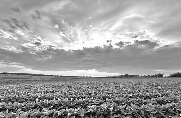 This winning image from a previous NRD photo contest was submitted by Valley County resident Robyn Koelling. (Courtesy photo)