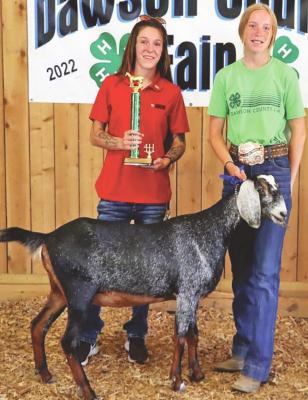 Krissy Callahan, representing Tractor Supply Company who sponsored the senior division dairy goat trophy, presented Taylor Kramer, Oconto, with the honor.