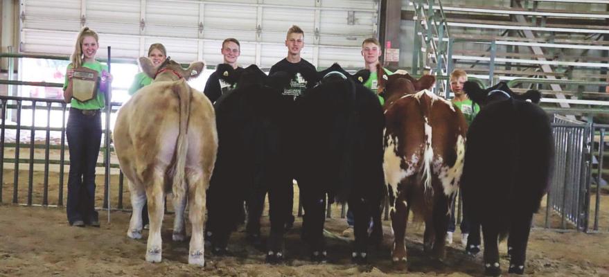 LEFT: These members of the Sumner Livestock 4-H Club won purple ribbons and their club’s name on a plaque for the Top Pen of 5 steers: (left to right) Jacie Wolfinger, Lexington, Rilyn Schledewitz, Oconto, Spencer Walahoski, Overton, Gage Schledewitz, Oconto, Parker Walahsoki, Overton, and Dylanger Schledewitz, Oconto.