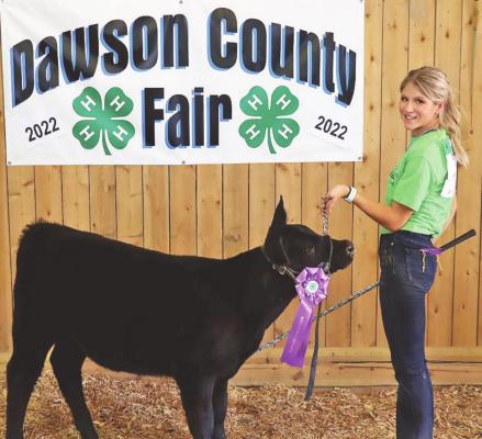Rilyn Schledewitz, Oconto, brought home the Breeding Heifer Championship trophy and rosette.