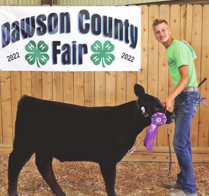 Gage Schledewitz, Oconto, earned the Champion Steer trophy and rosette during the Feeder Calf Show.