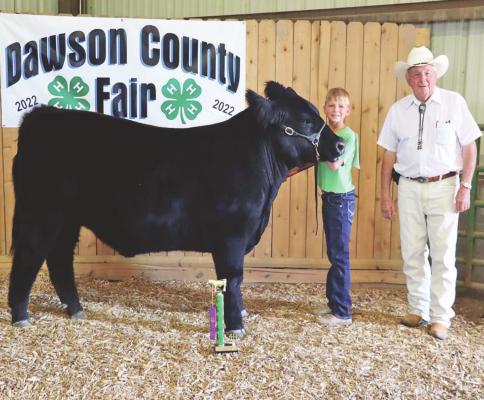 Local 4-Hers Participate in Dawson County Fair