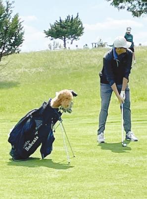 Smith 10th at Class D State Golf