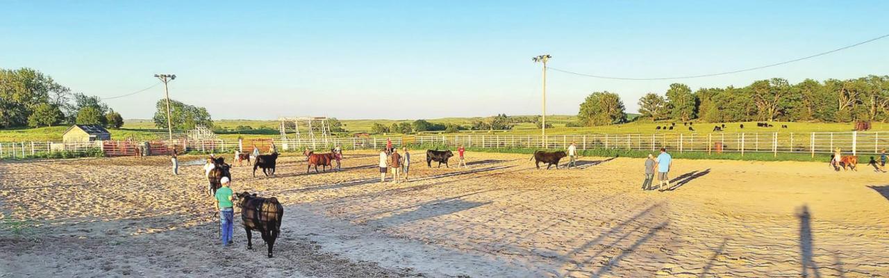 4-H is More Than Just Fair Projects - It’s Life Skills cont. PAGE