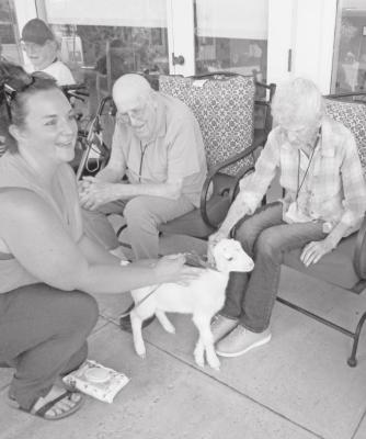 Whether Young or Old, Everyone Loves Animals