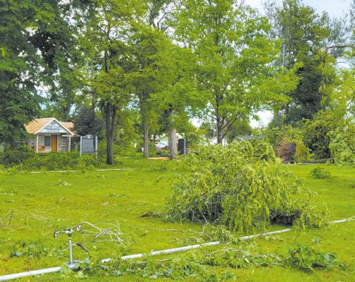 Morgan Park was littered with downed trees limbs and uprooted trees following the storm. (Courier photo by Ellen Mortensen)