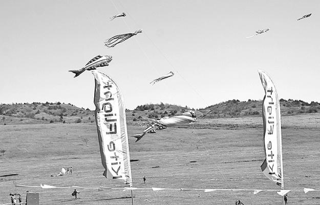 Tell Your Friends to Go Fly a Kite…in Callaway