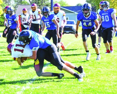 Photos courtesy Loleta Connell ABOVE: #14 Senior Kaden Paulsen wraps up ball carrier #11 Junior Trenton Rushman in action at Callaway on Friday. LEFT: #20 Sophomore AJ Starr receives the handoff from #11 Freshman Dylan Pandorf for a short gain in the Bobcats Homecoming 50-6 victory.