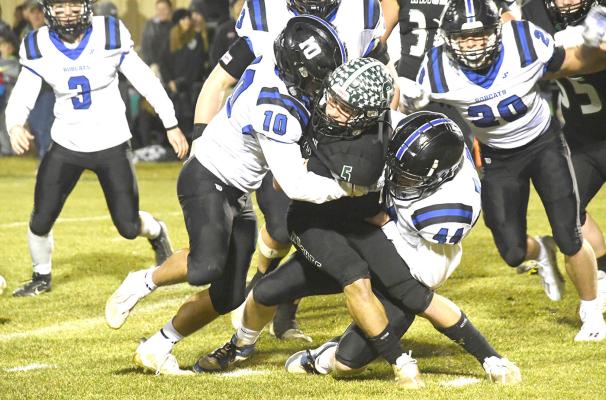 Heartbreaking Loss Ends Bobcats Championship Hopes