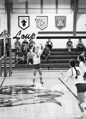 Delayne Liable sets the ball during the JV win over Anselmo-Merna last Monday. Courier photos by Amanda Wehnes