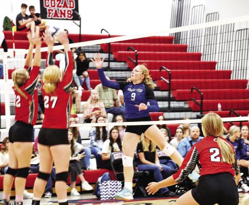 Strong Senior Leadership for Bobcat Volleyball Squad