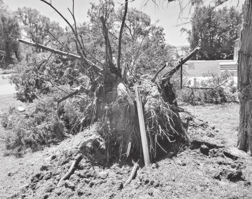 Strong Winds Cause Damage in Custer County