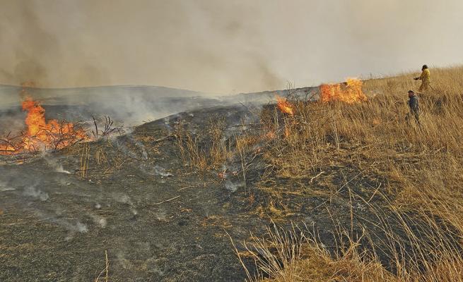 Volunteer firefighters walked through pastures igniting back burns over the weekend to help control the fire south of Gothenburg. (Courier photo by Alisa Mullen)