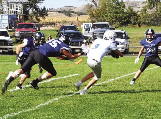 Bobcats Stun Longhorns in Decisive Victory