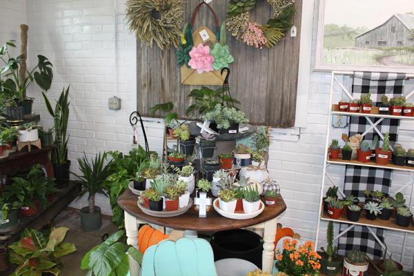 A circular center display of small succulents, cacti, and floral wreaths.
