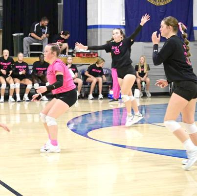 The Bobcats celebrate a point in their 5-set win over Ainsworth last week. (Courier photo by Jessica Tickle)
