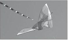 The sky over Smith Field on Sunday afternoon was crystal clear allowing nothing but beautiful blue and sunshine to permeate through the colorful kites as they floated above the spectators.