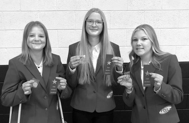 (Right) Angel Johnson, Chenney Dishman and Tyra Brestel were named District Champions in Repurpose and Redesign at the FCCLA STAR competition Jan. 18.(Photos courtesy CHS FCCLA)