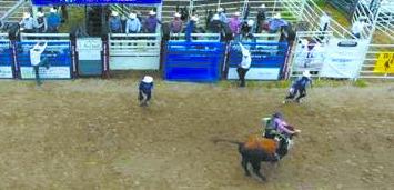 Fashionistas And Dog Trainers Kick Off 2023 Custer County Fair