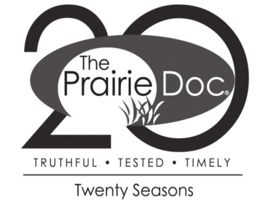 The Student Doctor; a Complement to Patient Care