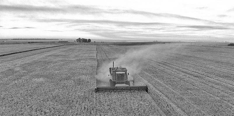 Crop Progress Report