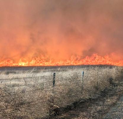 ABOVE: Kenny Kenning snapped this photo while surveying his property about 10 miles north of Gothenburg Monday afternoon.