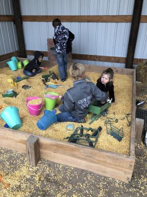 A group of students play in a 'sand box' full of corn
