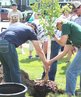 Five-Year Reunion Includes Tree Planting