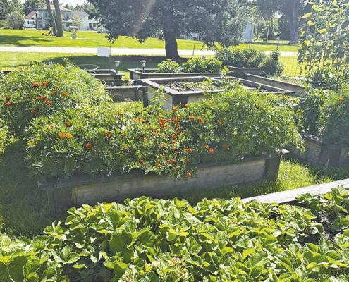 August 'Yard of the Month' Winners Announced