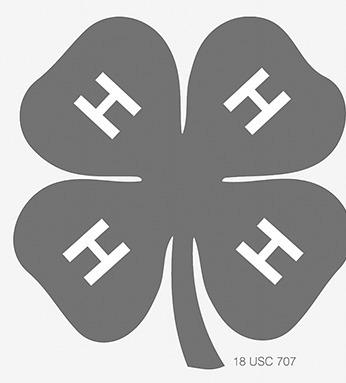 Results of Custer County 4-H Speaking Contest