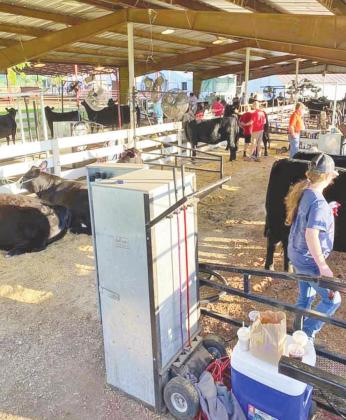 The time is almost here for area 4-H and FFA kids to enter their projects and show their animals. The Custer County Fair runs from July 31 - Aug. 4. Photo courtesy Custer County Fairgrounds