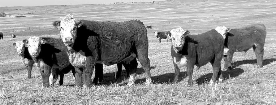 Registration Now Open For Ranch Practicum