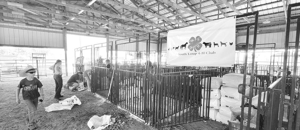 Scenes From The Custer County Fair