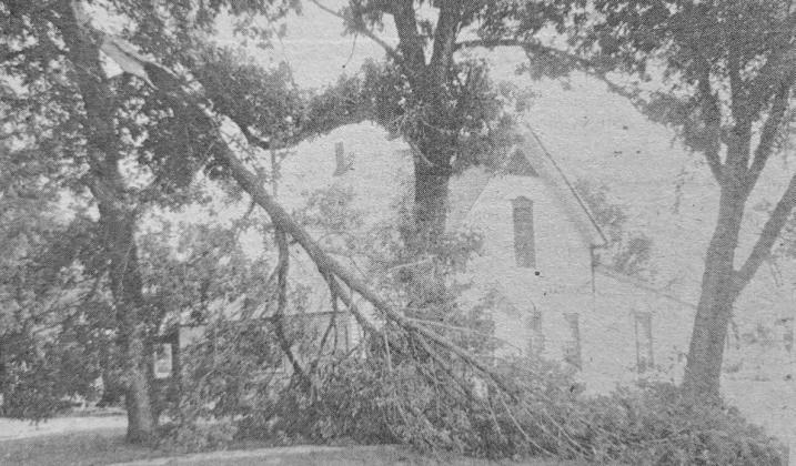 A huge tree blew down at the Ira Pitkin residence in northeast Callaway during the severe thunderstorms that hit during the last few days of July.