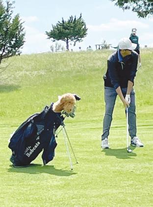 Smith 10th at Class D State Golf