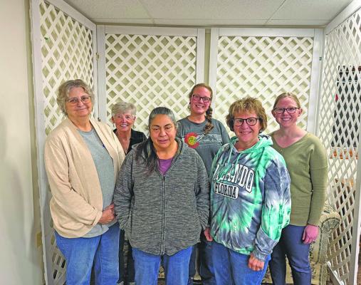 Librarian Karen Snider (front, center left) surrounded by Nigel Sprouse Memorial Library board members: Verla Biel; Judy Reiff, president; Amber Harrison, secretary-treasurer; Julie Johnson; and Kaylee Brogan. Not pictured is Shirley Trout, vice president. (Photo courtesy of Shirley Trout)