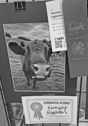 This photo, entered in the Nebraska State Fair by Callaway’s Kennedy Eggleson, earned a purple ribbon and was selected for a special exhibition in the UNL Animal Science Complex. (Courier photo by Ellen Mortensen)
