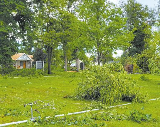 Morgan Park was littered with downed trees limbs and uprooted trees following the storm. (Courier photo by Ellen Mortensen)