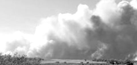 A wildfire in October 2022 destroyed the Nebraska State 4-H Camp and burned 5,000 acres of the Nebraska National Forest near Halsey. Also destroyed was a historic lookout tower. (Courtesy of Nebraska Forest and Grasslands)