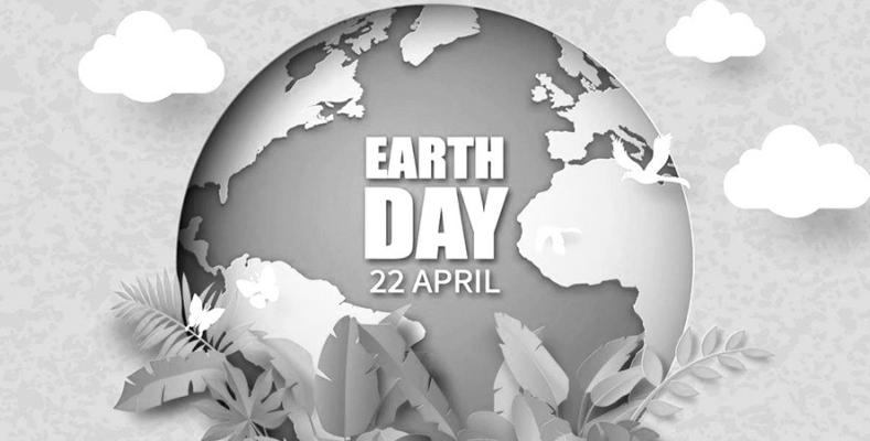 LOUP LINES: Caring For Our Earth And Trees