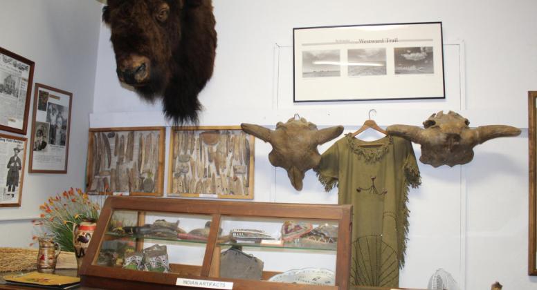 The buffalo head on display at the Seven Valleys Museum is on loan from the Hogg family. The late Wayne Hogg had the head mounted many years ago.