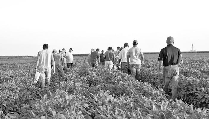 2025 SMFD: Soybean Management Field Days return Aug. 12–15, offering in-field learning and production discussions at sites across Nebraska. (Photo courtesy Nebraska Soybean Board)