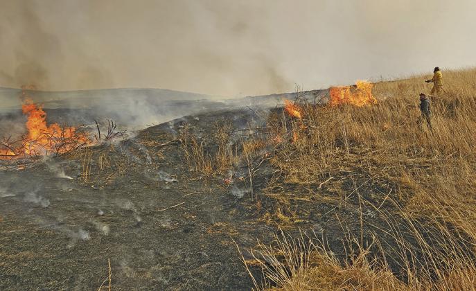 Volunteer firefighters walked through pastures igniting back burns over the weekend to help control the fire south of Gothenburg. (Courier photo by Alisa Mullen)